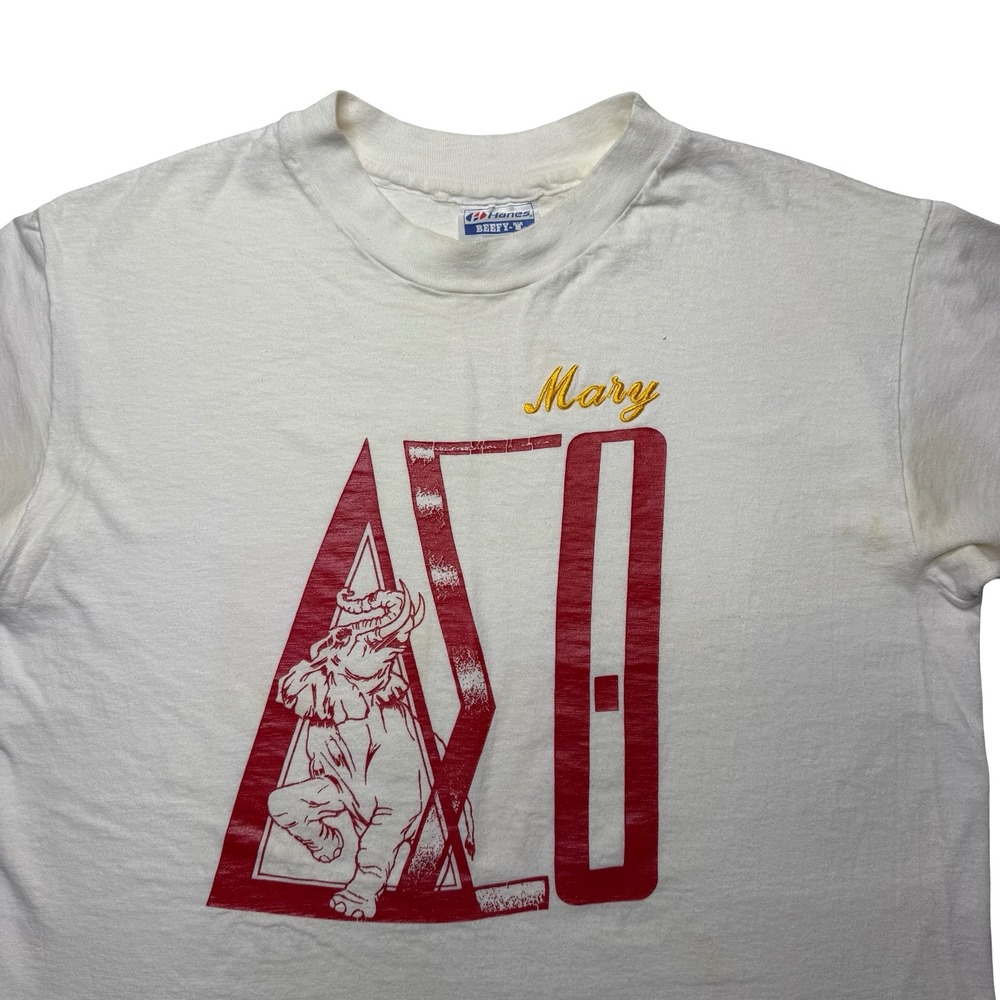 Vintage 80s 90s Delta Sigma Theta Sorority college sorority shirt